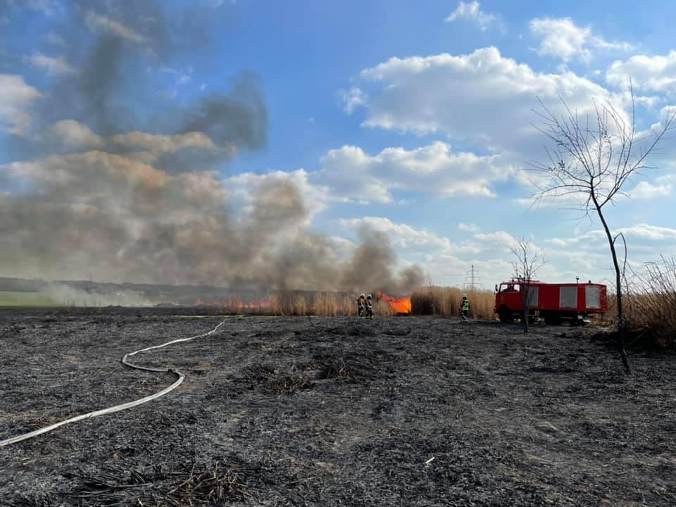 Nachricht Einsatz Feldbrand